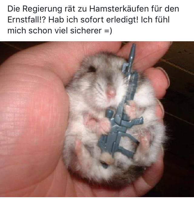 Regierung rät zu Hamsterkäufen