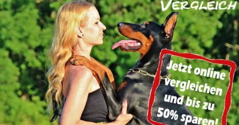 Hundehaftpflichtversicherung Vergleich